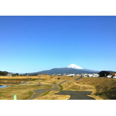 【ふるさと納税】川の駅　伊豆ゲートウェイ函南　バーベキュー利