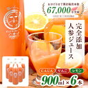 【ふるさと納税】無添加ストレートにんじんジュース900ml×6本 栽培期間中農薬・化学肥料不使用の人参を使用_ 人参ジュース ニンジンジュース ジュース 飲料 野菜ジュース 100% ストレート 国産 無添加 飲み物 常温 りんご レモン 果物 素材そのまま 【1228367】