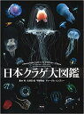 清水町ふるさと大使　海洋生物写真家　峯水亮氏の著書『日本クラゲ大図鑑』