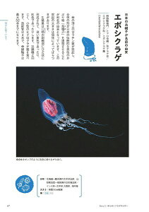 【ふるさと納税】清水町ふるさと大使（清水町在住）海洋生物写真家 峯水亮氏 『ときめくクラゲ図鑑』＆『日本クラゲ大図鑑』＆『Jewelsin the night sea 神秘のプランクトン』 3冊セット