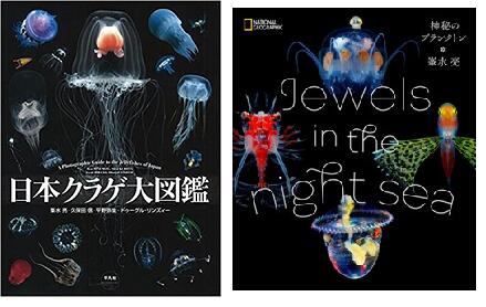 【ふるさと納税】清水町ふるさと大使(清水町在住) 海洋生物写真家 峯水亮氏 『日本クラゲ大図鑑』&『Jewelsin the night sea 神秘のプランク...