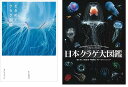 写真集・タレント人気ランク59位　口コミ数「0件」評価「0」「【ふるさと納税】清水町ふるさと大使（清水町在住）海洋生物写真家　峯水亮氏　『ときめくクラゲ図鑑』＆『日本クラゲ大図鑑』　2冊セット」