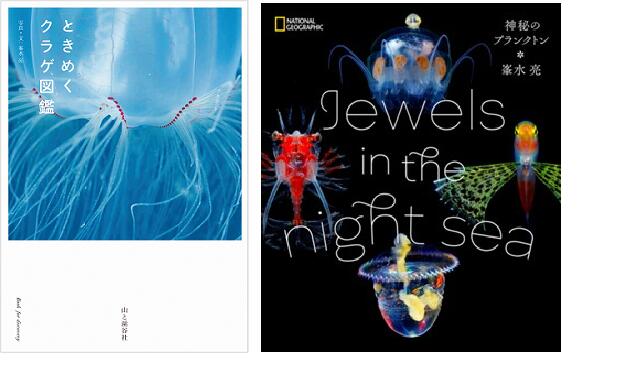 【ふるさと納税】清水町ふるさと大使(清水町在住) 海洋生物写真家 峯水亮氏 『ときめくクラゲ図鑑』&『Jewelsin the night sea 神秘のプラン...