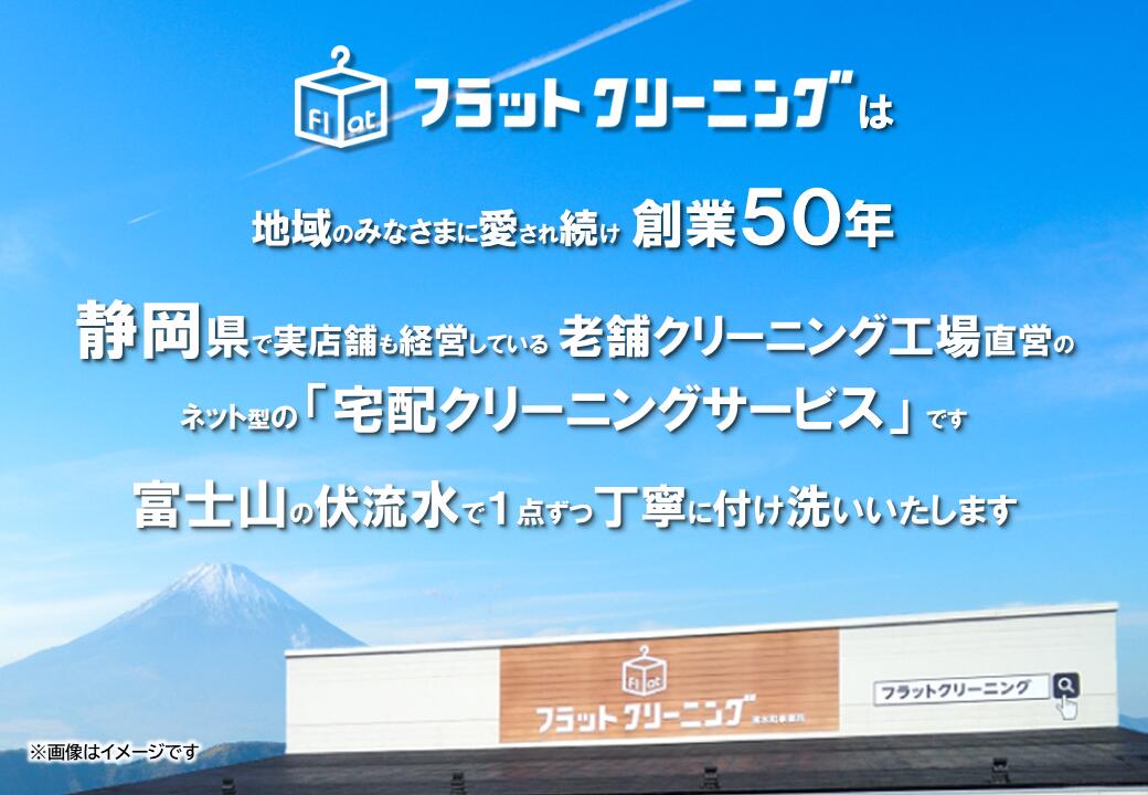 【ふるさと納税】クリーニング　宅配　フラットクリーニング　10点スピードパック利用券