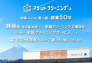 【ふるさと納税】クリーニング 宅配【フラットクリーニング】布団1点パック利用券