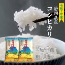 【ふるさと納税】新米 コシヒカリ 10kg (5kg×2袋) 静岡県産 令和7年産 【米 お米 おこめ こめ ご飯 ごはん コメ すぐ届く 】