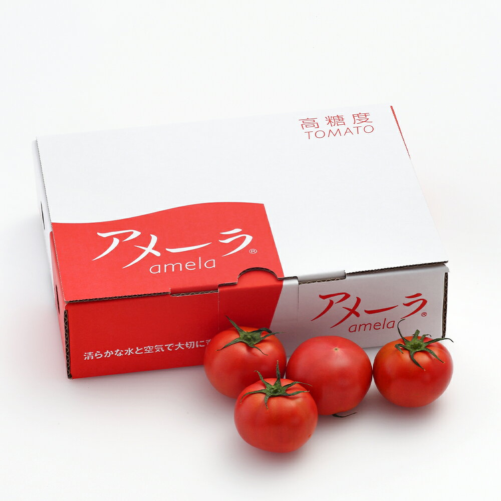 アメーラトマト秀 約1kg 1箱 | トマト とまと アメーラトマト アメーラ フルーツトマト 野菜 食品 最高品質 高濃度トマト 秀品 フルーツロジスティ 金賞受賞 S〜Mサイズ ケース 箱 お取り寄せ 静岡県 小山町 送料無料