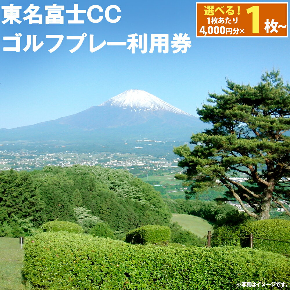 【ふるさと納税】東名富士CC ゴルフプレー利用券 | 4000円分～ 選べる 利用券 チケット 1枚 4000円×1枚～ 2枚 3枚 5枚 10枚 ゴルフ ゴルフ場 丘陵コース ゴルフプレー券 ゴルフ利用券 富士山 富士 景観 チケット 券 東名富士カントリークラブ 静岡県 小山町 送料無料