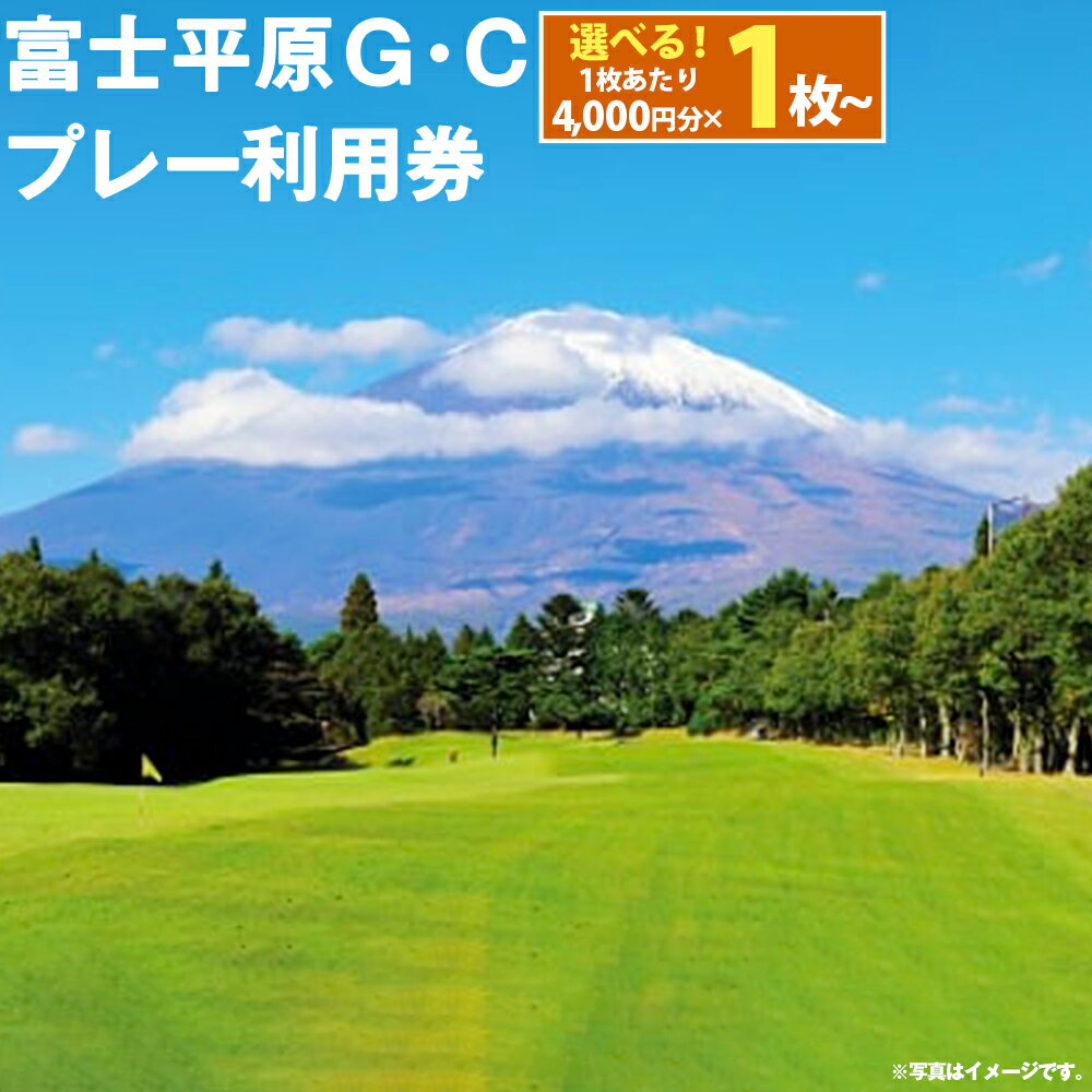 楽天静岡県小山町【ふるさと納税】富士平原G・C プレー利用券 | 4000円分～ 選べる 利用券 チケット 1枚 4000円 1枚～ 10枚 20枚 ゴルフ ゴルフ場 上級者 ビギナー 平坦 コース ゴルフプレー券 ゴルフ利用券 富士山 富士 景観 券 富士平原ゴルフクラブ 富士平原 静岡県 小山町 送料無料