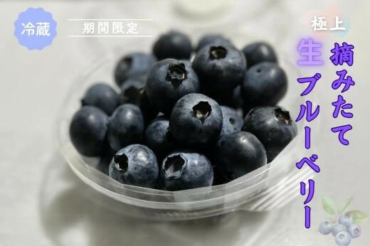 [選べる 容量]極上摘みたてブルーベリー 100g×4パックまたは100g×6パック[期間限定]冷蔵 静岡県 小山町 送料無料