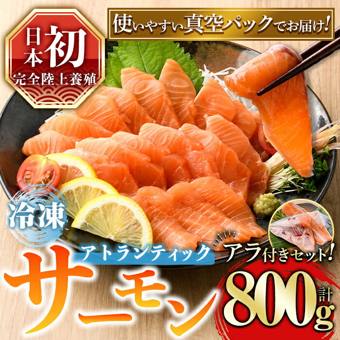 【ふるさと納税】 見つけた人はラッキー! 国産 アトランティックサーモン【冷凍】800g +アラ付きセット 【日本初:完全陸上養殖】 ポーション ブロック アラ...