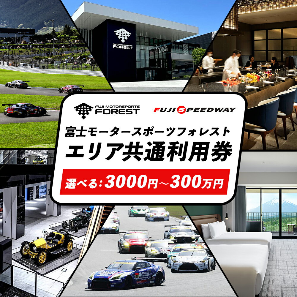 【ふるさと納税】<選べる> 富士 モータースポーツフォレスト エリア 共通利用券 3000円 ~ 300万円 |富士スピードウェイ 利用券 商品券 チケット 券 ギフト券 モータースポーツ カーレース サーキット ホテル 宿泊 体験 静岡 旅行