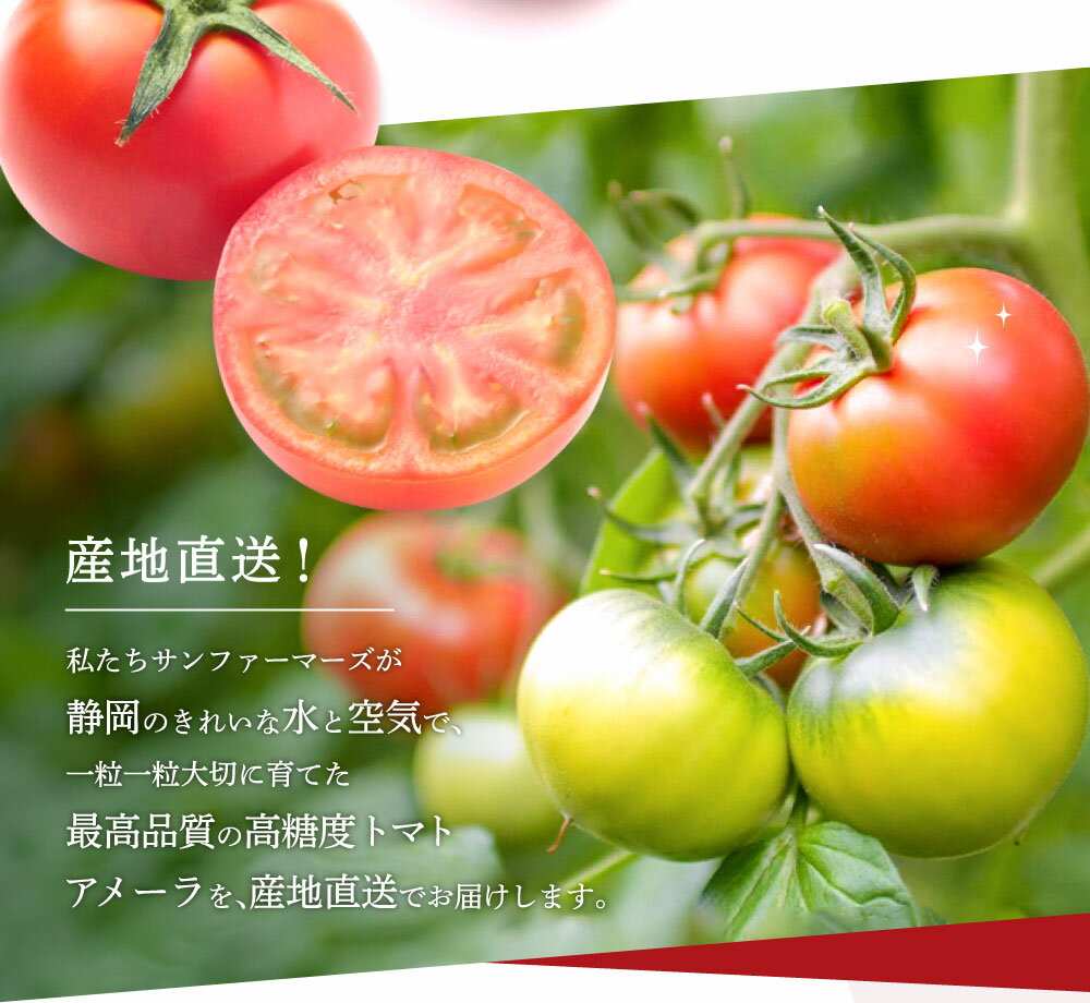 静岡県小山町の画像3