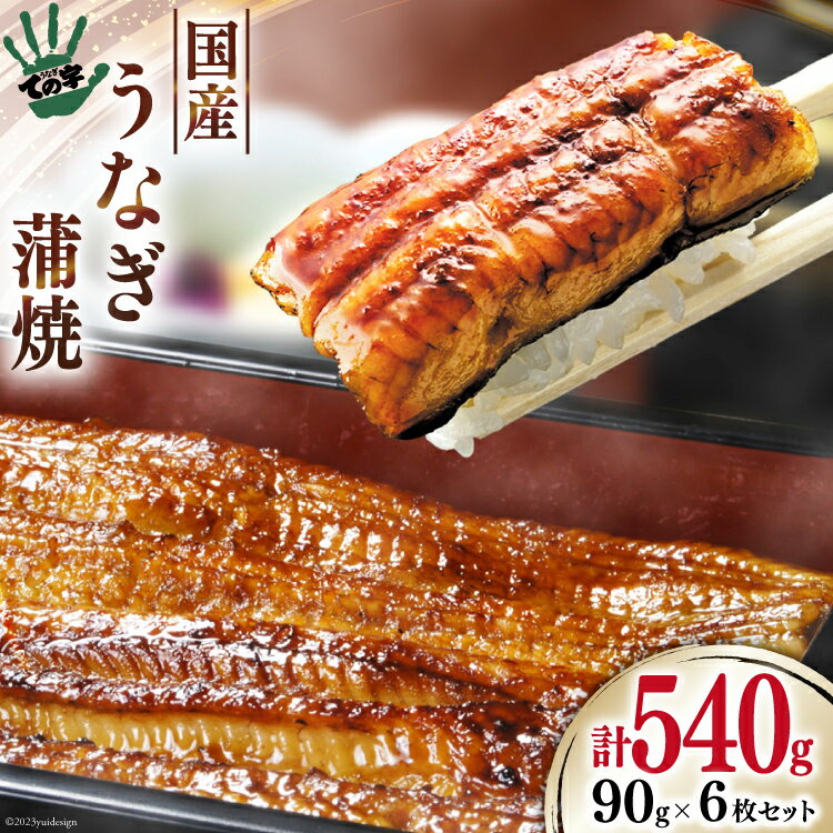 うなぎ 国産 蒲焼 90g ×6 計540g タレ山椒付き セット 真空パック 冷凍 [保存料 着色料 一切不使用][ての字 静岡県 吉田町 1021506] 鰻 ウナギ 蒲焼き 化粧箱