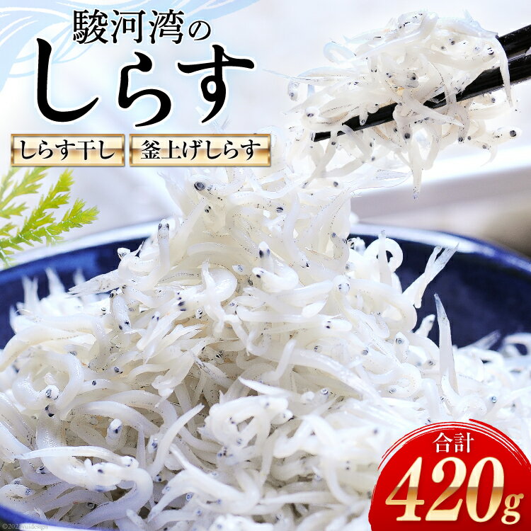 【ふるさと納税】静岡県駿河湾のしらす干し120g×1・釜上げ