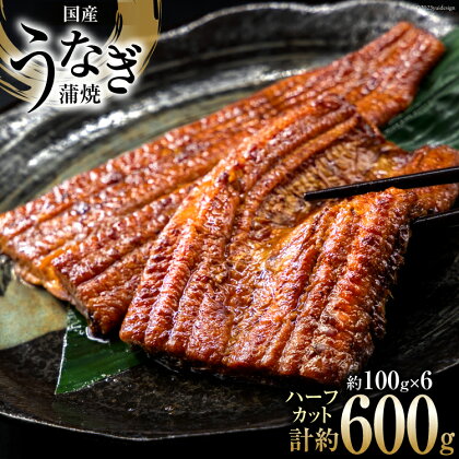 うなぎ 国産 静岡 うなぎ蒲焼 ハーフカット 100g ×6 計600g [静岡鰻販売 静岡県 吉田町 22424172] 鰻 ウナギ うなぎ蒲焼き うなぎ蒲焼 真空パック 冷凍 蒲焼 肉厚 ふっくら 静岡県産