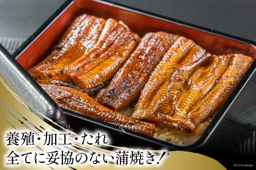 【ふるさと納税】うなぎ 国産 静岡 うなぎ蒲焼 カット 80g ×6 計480g [静岡鰻販売 静岡県 吉田町 22424173] 鰻 ウナギ うなぎ蒲焼き うなぎ蒲焼 真空パック 冷凍 蒲焼 肉厚 ふっくら 静岡県産