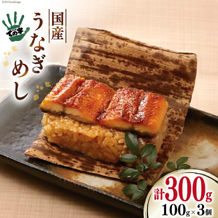 [ての字] うなぎ 国産 鰻めし 100g ×3 [静岡伊勢丹 静岡県 吉田町 22424183] ウナギ 鰻 蒲焼 蒲焼き おこわ おにぎり 冷凍 ての字