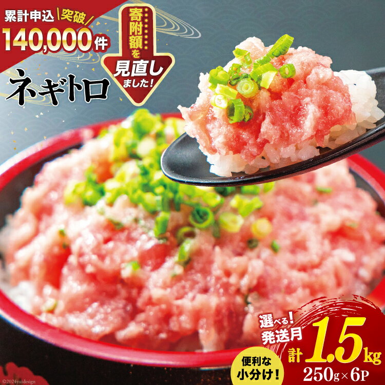 3位! 口コミ数「195件」評価「4.58」 【ZIP!で紹介】ネギトロ 250g×6p 計1.5kg 小分け パック [マルハニチロオーシャン 静岡県 吉田町 22424247] ね･･･ 