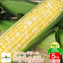 22位! 口コミ数「0件」評価「0」【先行受付】夢のような美味しさ！生食可能 高糖度 とうもろこし ドルチェ・ドリーム 5kg (9～12本) [桑高農園 静岡県 吉田町 22･･･ 