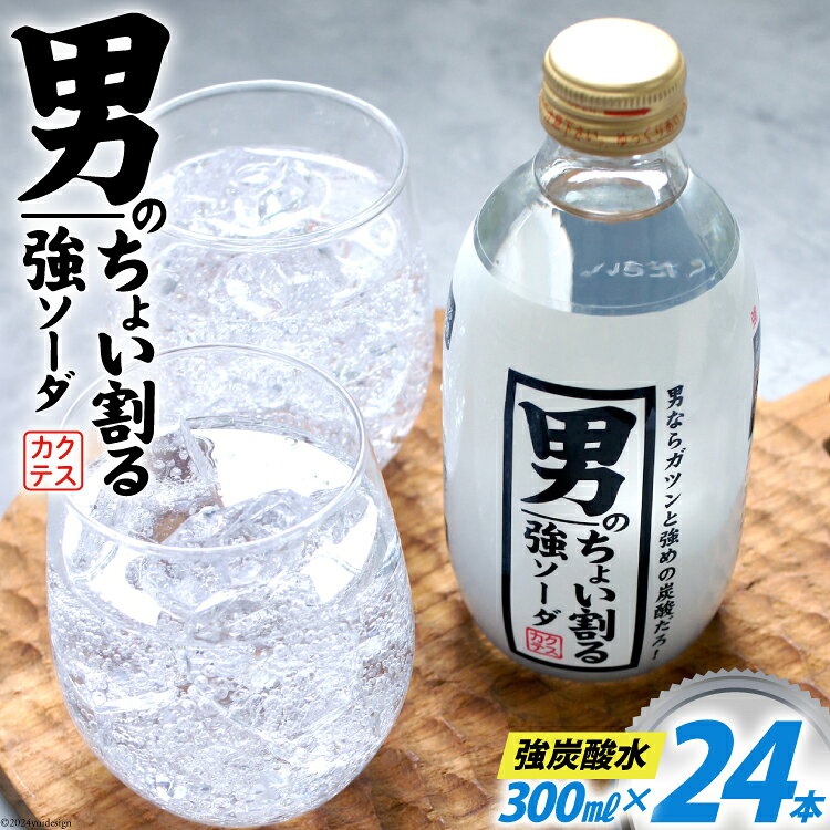 炭酸水 男のちょい割る ソーダ 300ml 24本 [イトウシャディ 静岡県 吉田町 22424297] 炭酸 強炭酸 炭酸飲料 飲料 飲み物 割る 炭酸ソーダ