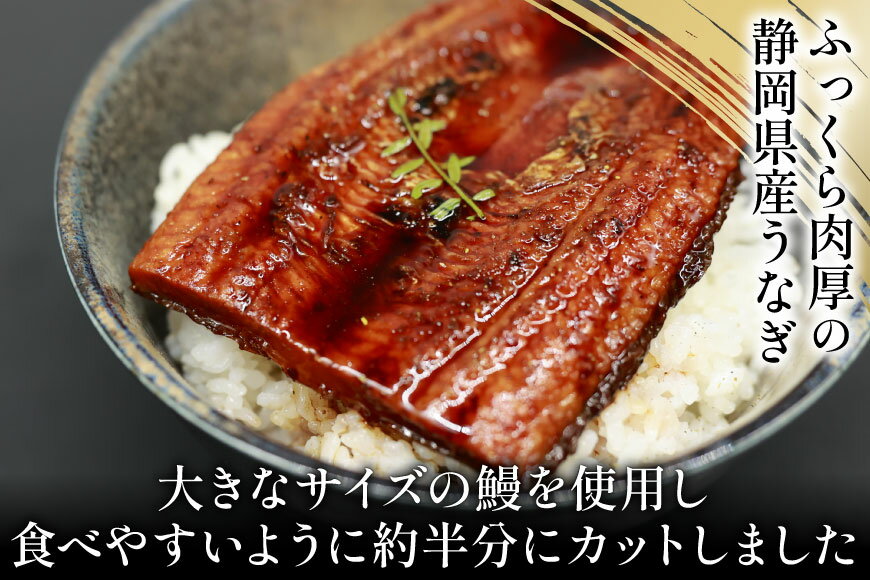 【ふるさと納税】 うなぎ 国産 静岡 蒲焼 ハーフカット 100g 6パック 計600g [静岡鰻販売 静岡県 吉田町 22424172] 鰻 ウナギ unagi 蒲焼き かば焼き うなぎ蒲焼き 鰻蒲焼 真空パック 冷凍 静岡県産 丑の日 レビューキャンペーン