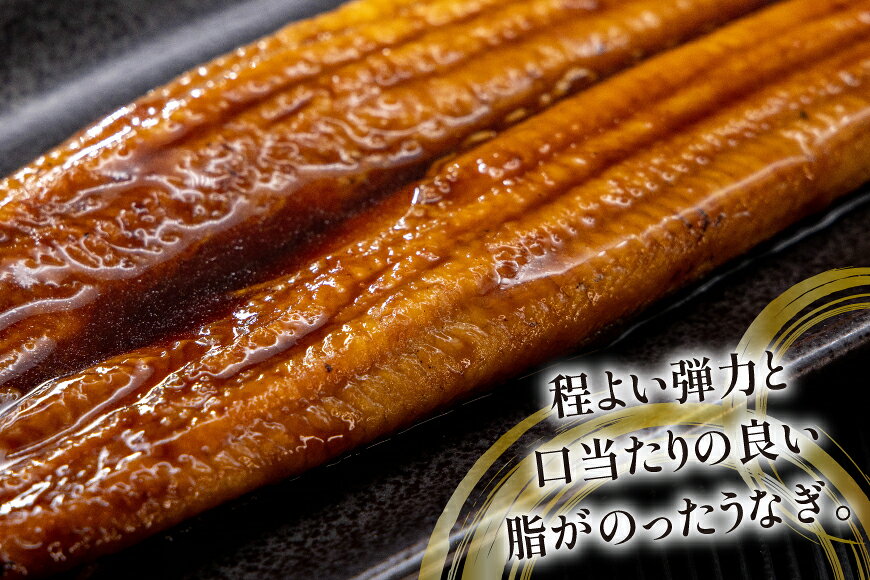 【ふるさと納税】 うなぎ 静岡県産 鰻2尾 約160g×2 蒲焼1尾 白焼1尾 [駿河淡水株式会社 静岡県 吉田町 22424653] 国産 鰻 ウナギ 蒲焼 蒲焼き かば焼き 白焼き 白焼 真空パック f224243-yoshida-10002360 静岡県吉田町 サンプル画像3