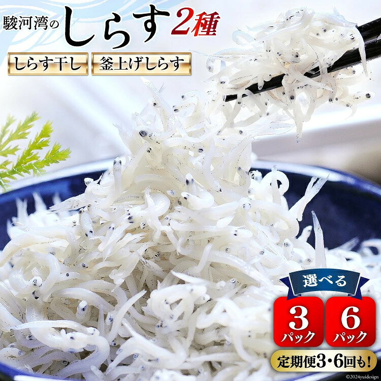 選べるセット 発送回数 静岡県駿河湾 しらす干し 100g 釜上げしらす 120g 計3パック or 計6パック [マルあ水産 静岡県 吉田町 22424312] 魚 海鮮 しらす 白子 シラス 天日 じゃこ 小分け おじゃこ しらす干し