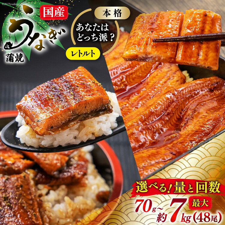 うなぎ 国産 訳あり 蒲焼 雌うなぎ レトルト or 本格派 選べる 種類 量 回数 定期便 [マルニうなぎ加工 静岡県 吉田町 22424561] 鰻 ウナギ unagi 蒲焼き うなぎ蒲焼 めすうなぎ 雌鰻 メスウナギ 丑の日 丑の日配送 真空パック 冷凍 ギフト 土用の丑