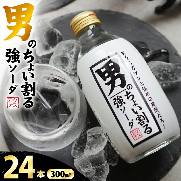 ソーダ 男のちょい割る強ソーダ 300ml × 24本 [翔栄通商 静岡県 吉田町 22424712] 炭酸 炭酸飲料 強炭酸 瓶 そーだ 木村飲料