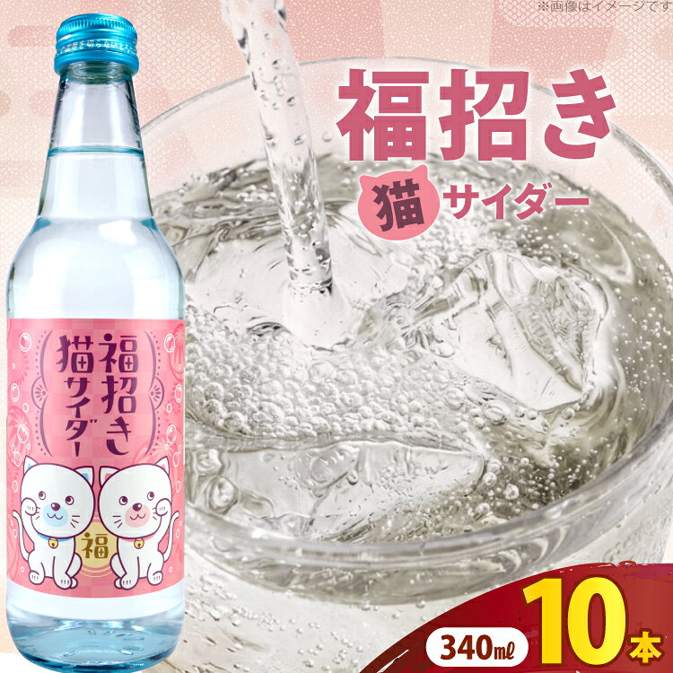 サイダー 福招き猫サイダー 340ml × 10本 [翔栄通商 静岡県 吉田町 22424716] 炭酸 炭酸飲料 瓶 ソーダ 招き猫 サイダー 木村飲料