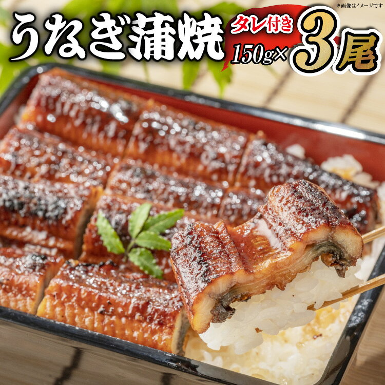 Rakuten - 【ふるさと納税】 選べる配送時期 うなぎ うなぎ蒲焼 150g×3尾 タレ 山椒 セット [むらた商会 静岡県 吉田町 22424757] 鰻 ウナギ 蒲焼き たれ 惣菜 おかず 鰻重 うな丼 鰻丼 うなぎ料理 鰻料理 冷凍 丑の日 丑の日配送
