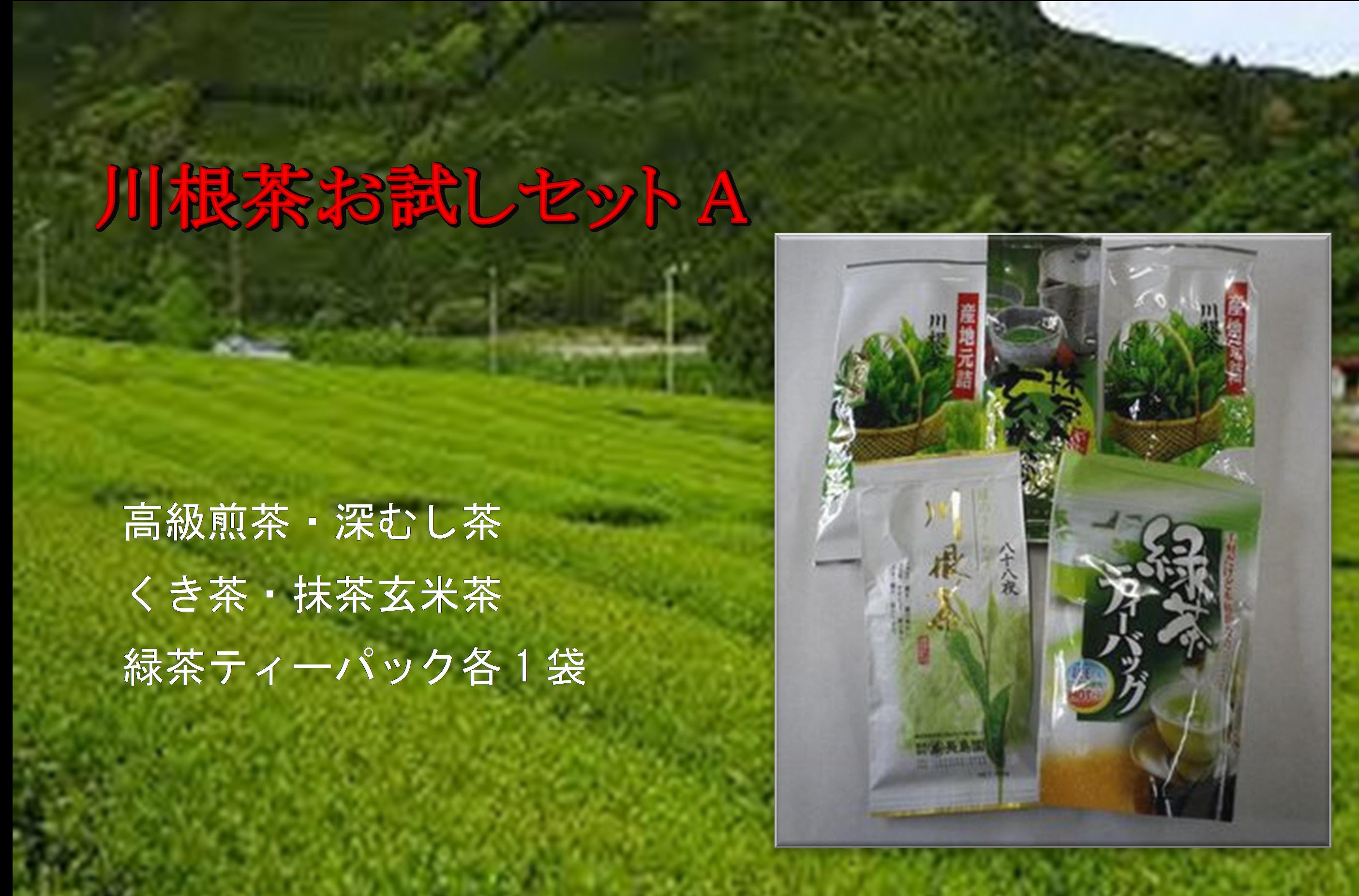 川根茶お試しセットA / 日本茶 緑茶 煎茶 深蒸し茶 玄米茶 くき茶 ティーバッグ 静岡 静岡茶 川根 川根茶