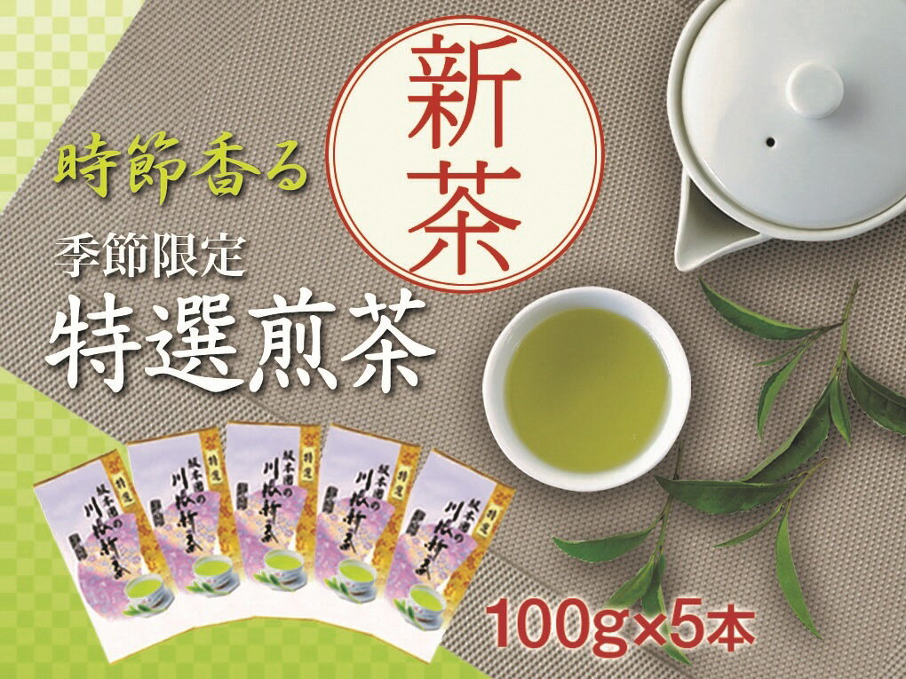 【ふるさと納税】新茶 静岡川根茶　特選新茶100g×5本