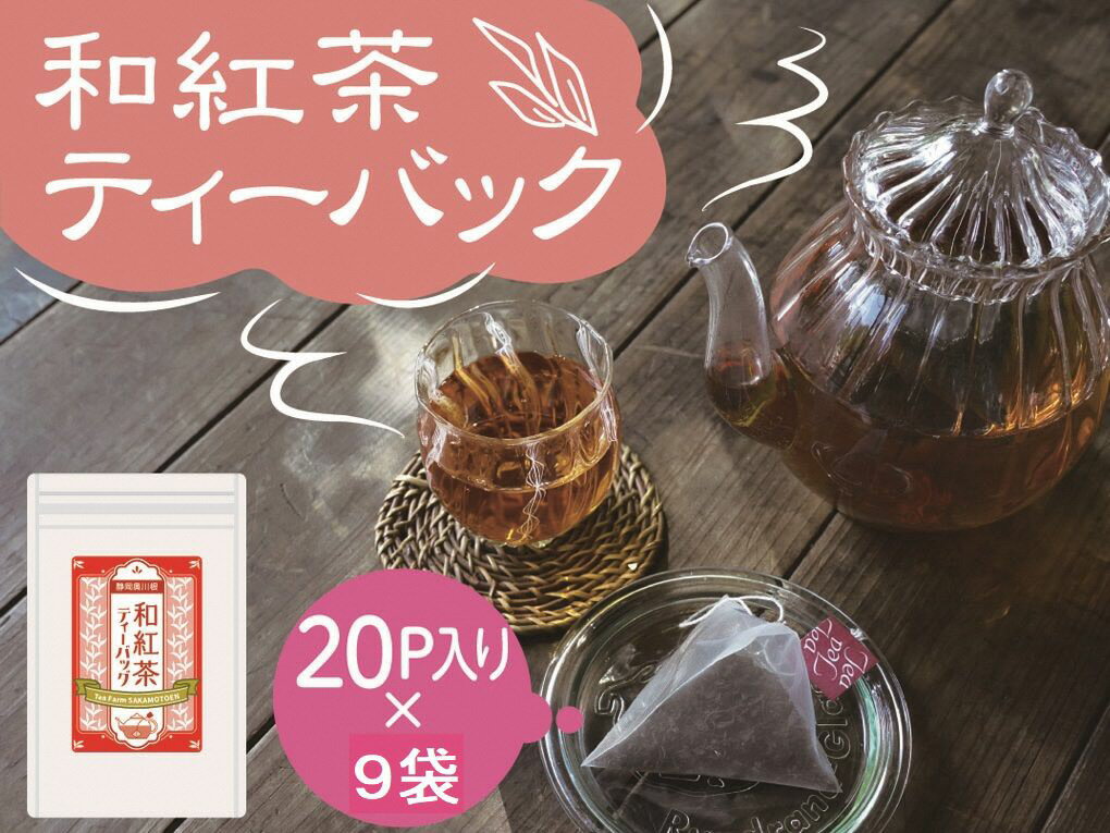 【ふるさと納税】【定期便】紅茶 ティーバッグ 20個入×3袋×3ヶ月連続 / 川根紅茶 紐付きティーバッグ180個