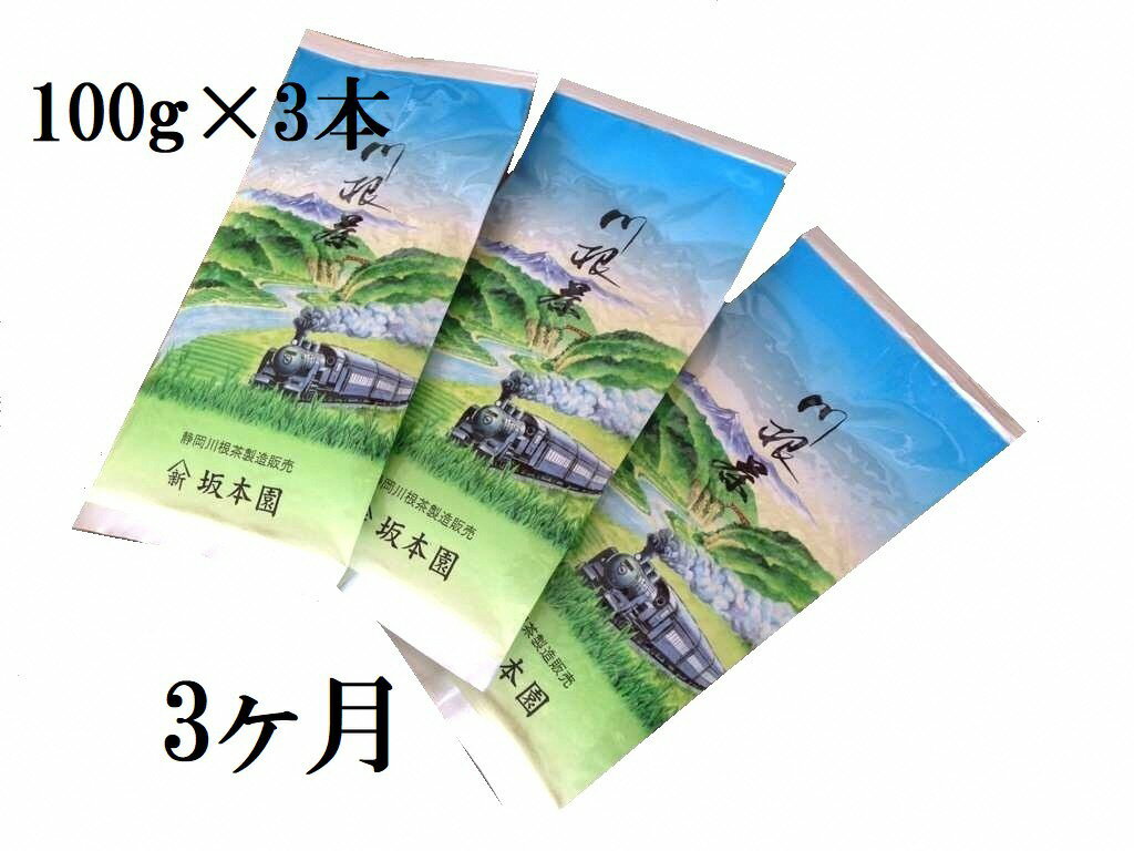 【ふるさと納税】定期便 お茶 静岡 100g×3本×3ヶ月連続 / 川根 自家用煎茶900g