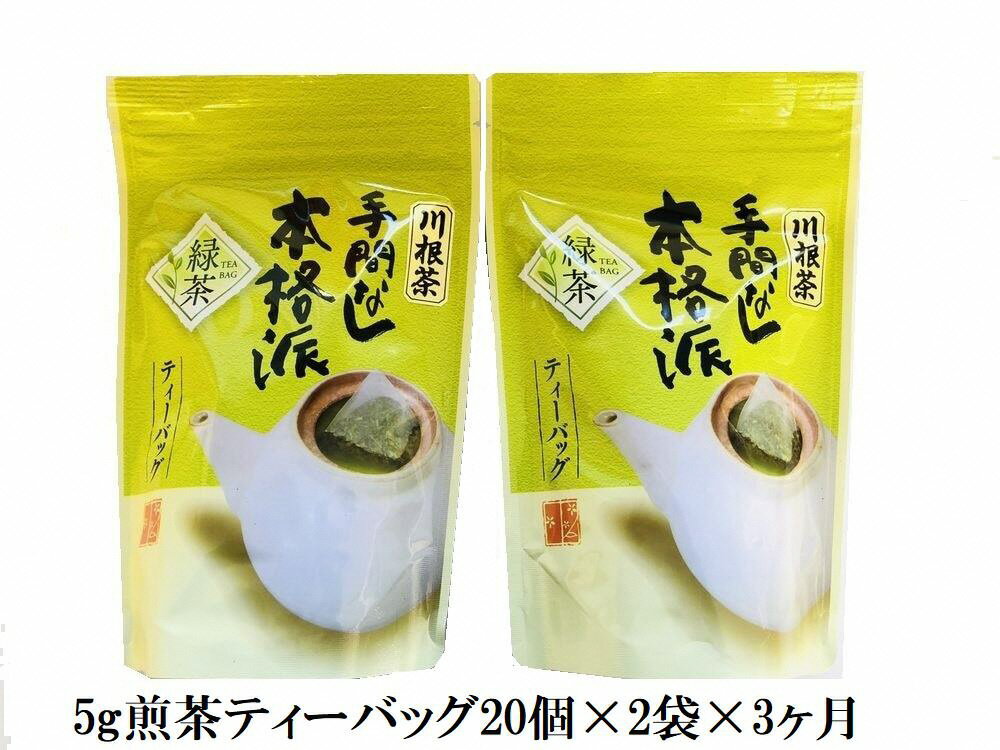 【ふるさと納税】定期便 お茶 静岡 ティーバッグ 20個入×2袋×3ヶ月連続 / 本格茶葉の手間なし...