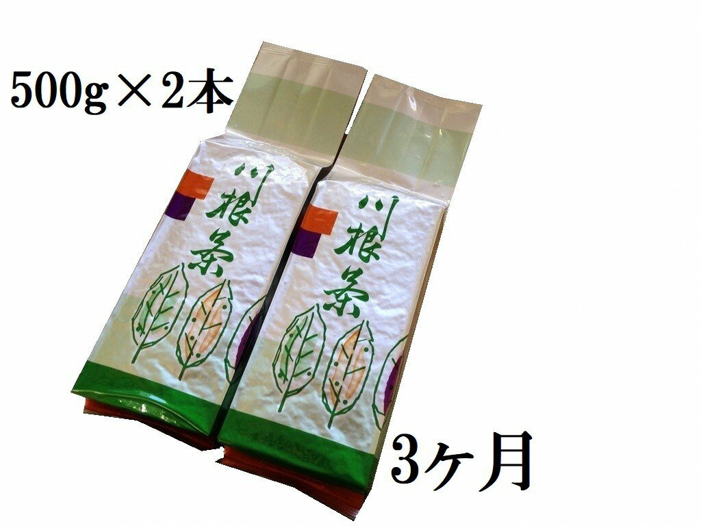 【ふるさと納税】定期便 お茶 静岡 業務用 500g×2本×3ヶ月連続 / 川根番茶3kg