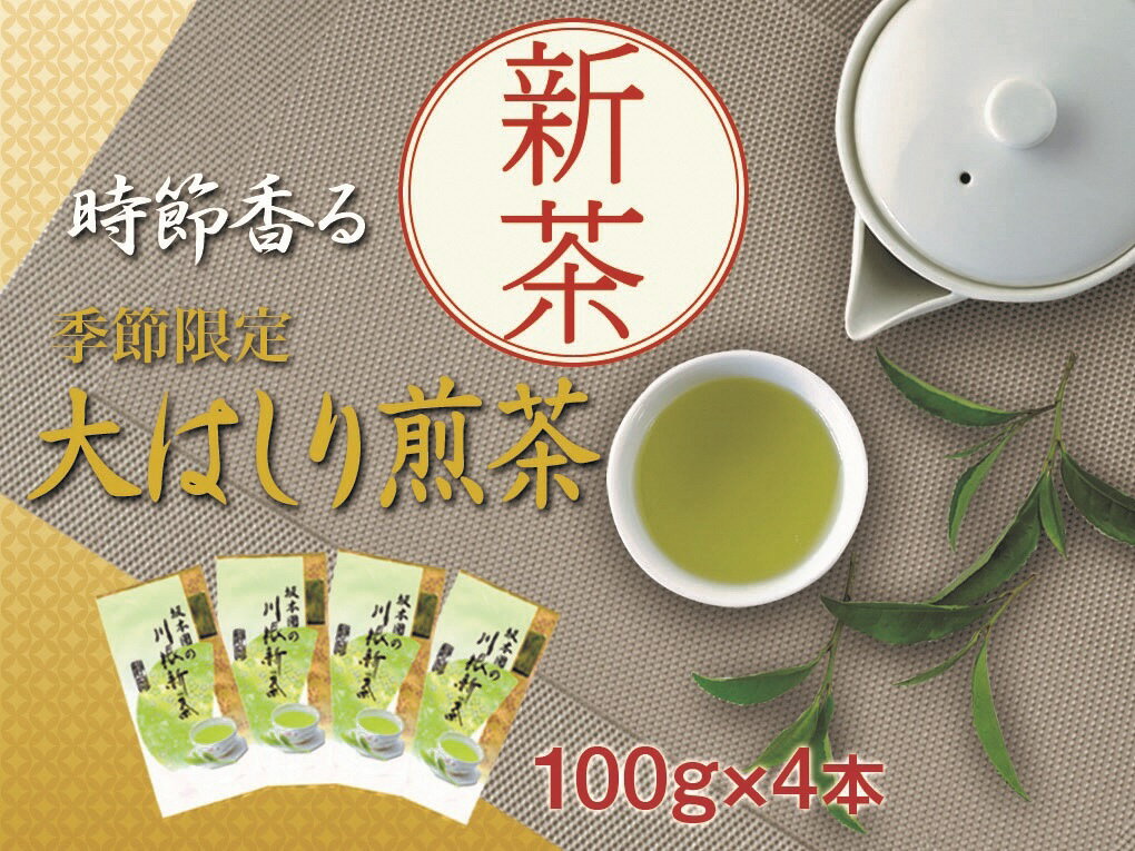 【ふるさと納税】新茶 静岡川根茶大走り新茶100g×4本