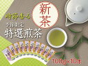 新茶 静岡川根茶　特選新茶100g×10本