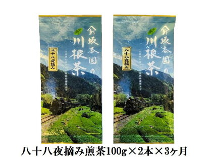 定期便 お茶 静岡 100g×2本×3ヶ月連続 / 八十八夜摘み煎茶