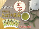 【ふるさと納税】新茶 静岡川根茶大走り新茶100g×6本