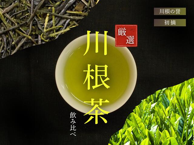 静岡県川根本町の画像2