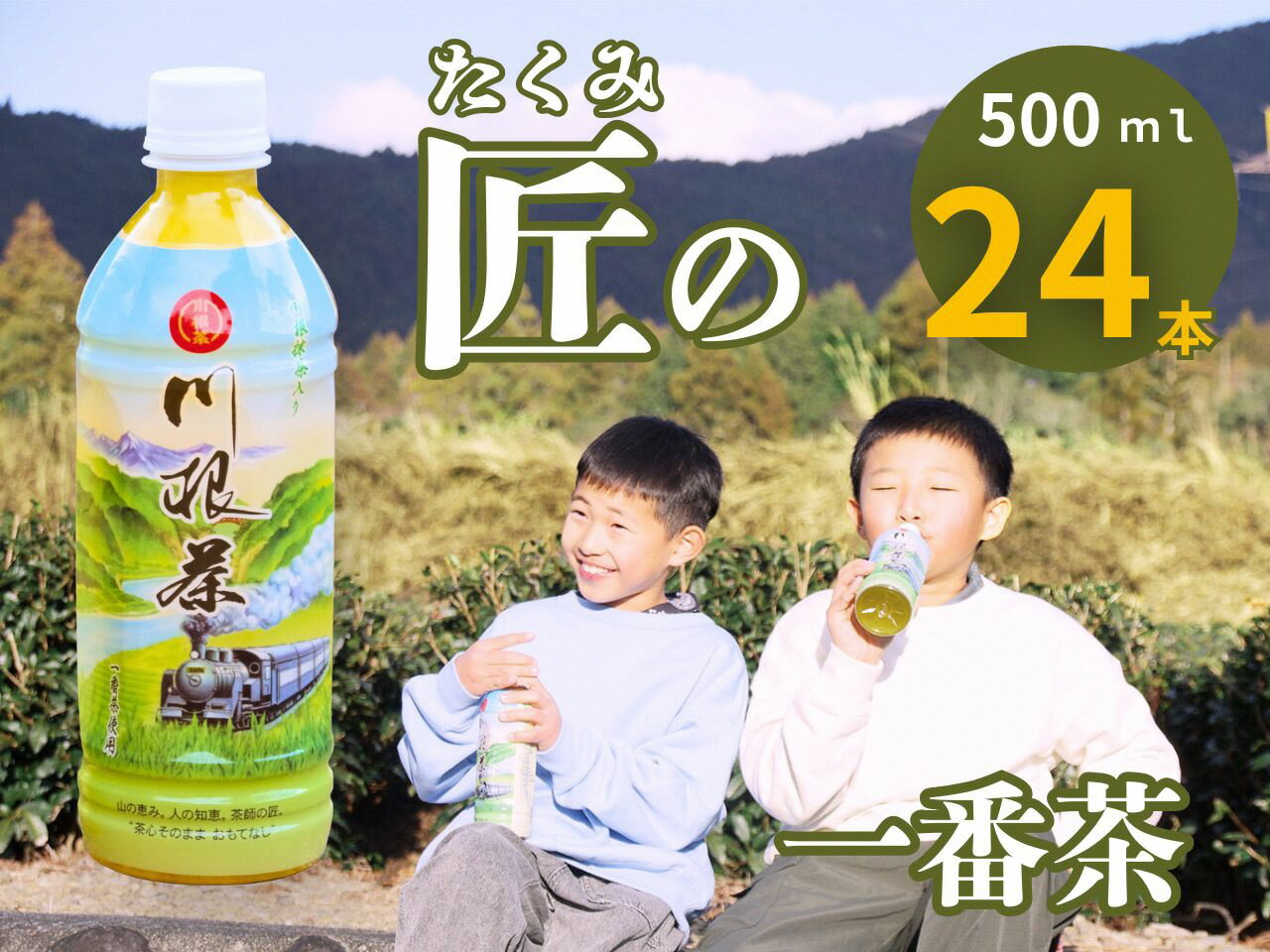 匠厳選!高級一番茶「川根茶」ペットボトル 1ケース