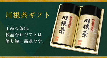お茶 茶葉 静岡茶 川根茶 / 大はしり・一番摘み200g缶詰合せ(ギフト包装)