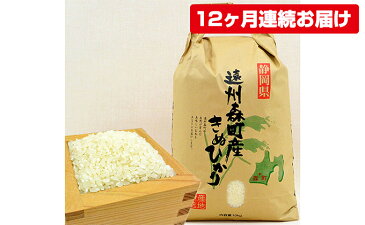 【ふるさと納税】遠州森町産キヌヒカリ　精米10kg（12カ月連続お届け）　【定期便・米・精米・定期便・頒布会】