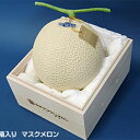 【ふるさと納税】クラウンメロン「富士」 1玉桐箱入り 【果物...