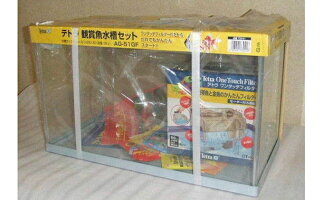 人気特価 静岡県森町 ふるさと納税 らんちゅう 5匹 水槽セット 生き物 らんちゅう 5匹 金魚 水槽セット 水槽 高品質一番 人気特価 静岡県森町 ふるさと納税 らんちゅう 5匹 水槽セット 生き物 らんちゅう 5匹 金魚 水槽セット 水槽 高品質一番