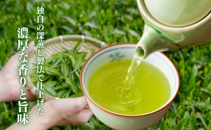 【ふるさと納税】お茶 いしだ茶屋 深蒸し茶 ふくよ香 100g 5袋 煎茶