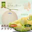 【ふるさと納税】クラウンメロン【上(山等級)】中玉(1.3kg前後)1玉入り(6か月連続お届け) 果物類 メロン青肉 フルーツ 6カ月 6回 半年